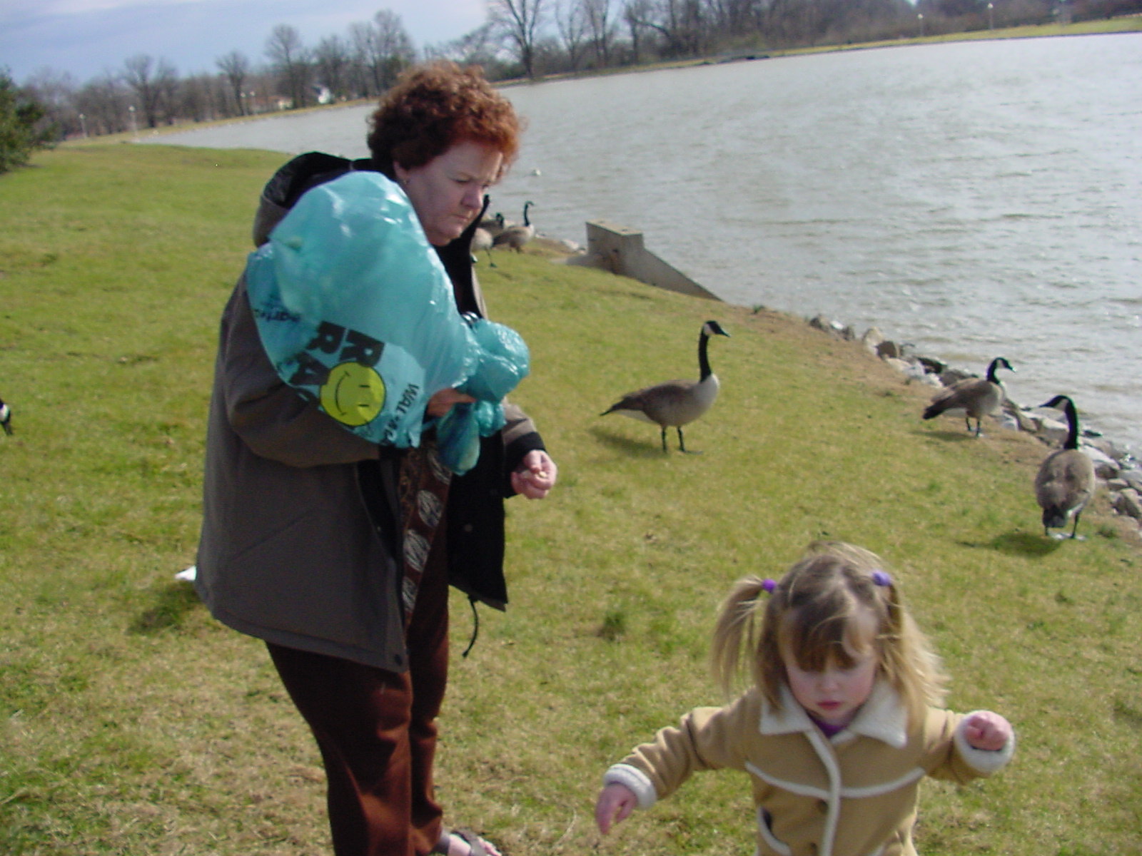Feeding the geese by the lake